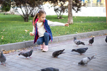 Little Girl Feeds Birds With Crumbs