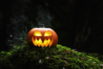 Wall Mural - Glowing Jack O Lantern on moss in the dark forest. Halloween Pumpkin In A Spooky Forest At Night.