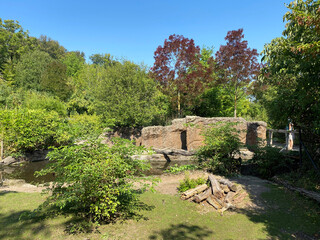 The landscape of the Zurich zoo or The Zoo Zürich - die Landschaft des zürcher Zoos oder Zuerich Zoologischer Garten - Zürich (Zuerich or Zurich), Switzerland / Schweiz