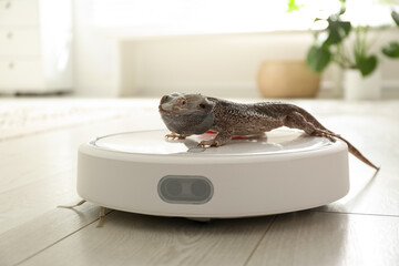 Canvas Print - Robotic vacuum cleaner and bearded dragon lizard indoors