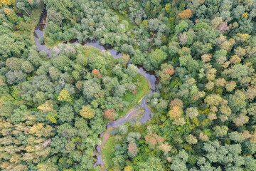 Wall Mural - Aerial top down view of winding river flowing through green forest