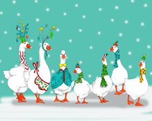 Merry Christmas From The Geese Family! Illustration In Ink And Watercolors Of A Whole Family Of Geese, All Dressed For Christmas, With Winter Scarfs And Decorations, In Snow Landscape