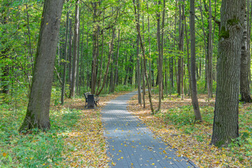 A path for pedestrians to walk in a modern green city park in the autumn daytime