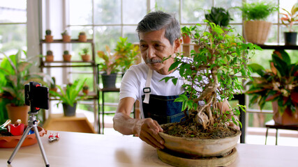 Senior gardener man selling beautiful plants on social media by streaming live from his shop..