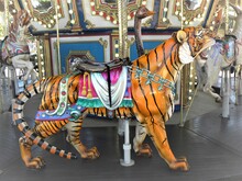 Carousel Tiger In The Park