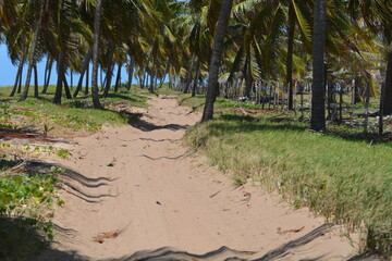 Poster - praia do gunga