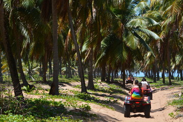 Poster - praia do gunga