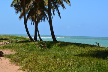 Poster - praia do gunga