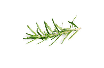 rosemary isolated on white background