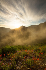 Wall Mural - Fog and sun combined for a spectacular sunrise int he cascade mountains on a summer's morning 