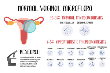 Wall Mural - Normal vaginal microflora, lactobacillus, bifidobacterium. Normal and opportunistic pathogenic microorganisms. Female reproductive system. Gynecology. Vector flat cartoon illustration