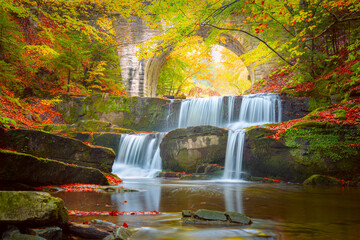 Wall Mural - autumn natural landscape - river waterfall in colorful autumn forest with old bridge