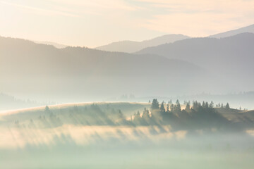 Wall Mural - Misty foggy landscape with forest in mountains