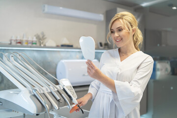 Wall Mural - Portrait of young smiling female dentist in modern dental office