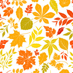 Wall Mural - Autumn leaves stylish background. Fall seamless pattern with hand drawn leaves. Seasonal nature backdrop