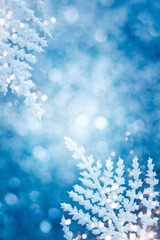 Wall Mural - Beautiful Christmas or Winter background with snowy and icy branches of plants on shiny bokeh backdrop. Soft focus