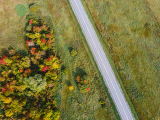 Aerial view of the road with a picturesque autumn landscape. Bright fall colors, Drone shooting of scenic autumn backgrounds. Top view