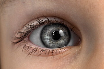 eye of a gray-eyed child close up. macro photo of an eye