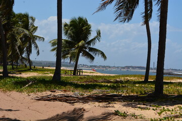 Poster - praia do gunga