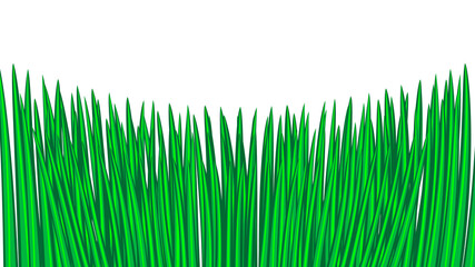 green grass seamless border, isolated over white, illustration