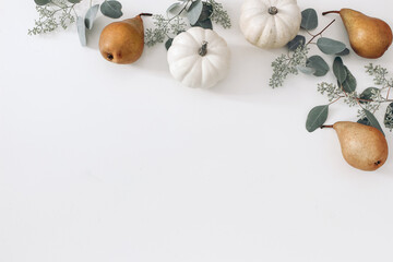 Wall Mural - Autumn floral frame, web banner. Garland of berry eucalyptus leaves, branches, pear fruit and white pumpkins isolated on white table background. Fall, Thanksgiving design. Flat lay, top view.