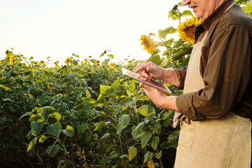 Contemporary senior male farmer in apron and brown shirt using digital tablet