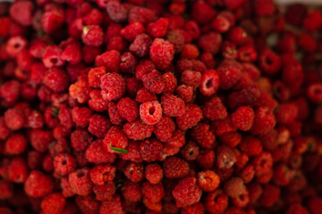 Wall Mural - Top view of heap of red ripe raspberries after harvesting. Pile of fresh and delicious raspberries.