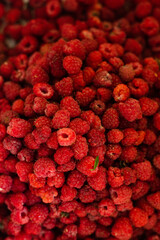 Wall Mural - Background raspberry wallpaper, place for text