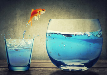 Poster - Goldfish jumping out from one small glass cup to another bigger fishbowl aquarium