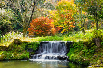  湯平温泉（大分県由布市）、花合野川の滝の紅葉