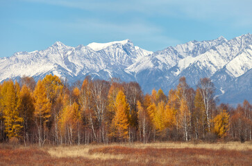 A beautiful autumn landscape with a yellowed forest against the background of snow-capped mountain peaks on a sunny October day. Change of seasons, calendar. Natural background. Autumn travel