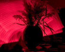 Carved Green Pumpkin On A Background Of Red Light Paintings, Green Halloween Jack O Lanterns, Halloween