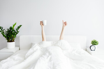 Wall Mural - good morning concept - female hands with cup of coffee and thumb up sticking out from the blanket at home or hotel