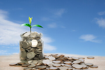 A small tree growing on a pile of coins in a jar. Represents an abstract concept of saving money.