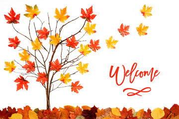 Wall Mural - branches building tree with bright colorful leaf decoration. red and yellow leaves flying away due t