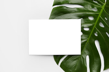 Blank card and tropical leaf on white background