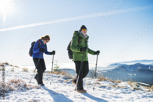 Cuadros en Lienzo Senior couple with nordic walking poles hiking in snow-covered winter nature