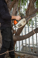 Wall Mural - Close-up of woodcutter sawing chainsaw in motion, sawdust fly to sides. Man with the chainsaw. Dangerous job. Powerful chainsaw. Lumberjack hold chainsaw. Gardener lumberjack equipment.