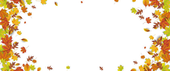 Wall Mural - header harvest foliage white autumn