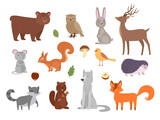 Fototapeta Pokój dzieciecy - Wood animals. Cute wild characters in forest fox owl bear wolf vector animals in flat style. Owl and fox, wolf and hedgehog, character squirrel and deer, raccoon and bunny illustration
