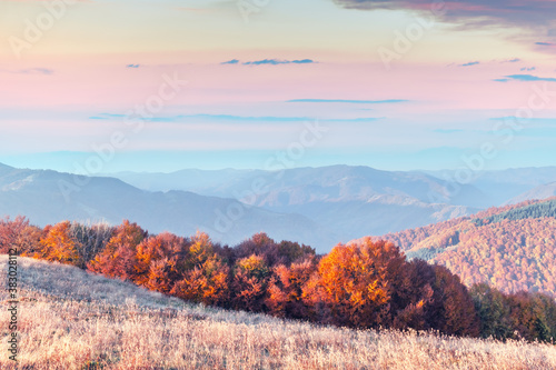 Fotografía Picturesque autumn mountains with red beech forest in the Carpathian mountains, Ukraine