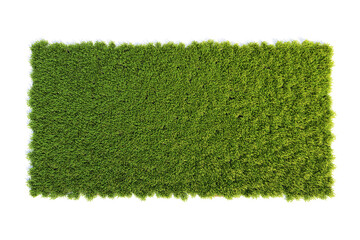 Poster - Small square surface covered with grass, grass podium top view, lawn background 3d rendering