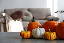 Bunch Of Classic Orange, Hooligan And Baby Boo Pumpkins On Marble Textured Table As A Symbol Of Autumnal Holidays With A Lot Of Copy Space For Text. Living Room Interior Background, Close Up.