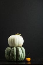 Pumpkins And Gourds On A Black Table With Black Background
