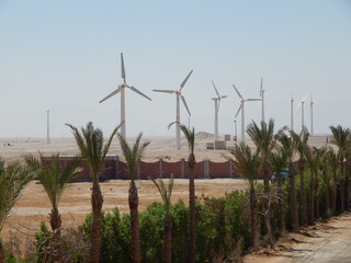 
wind turbine 