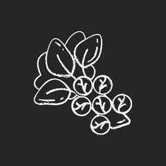 Sticker - Brussels sprouts chalk white icon on black background. Healthy cabbege types. Eco foods variety. Natural meal options. Vegetables full of vitamins. Isolated vector chalkboard illustration