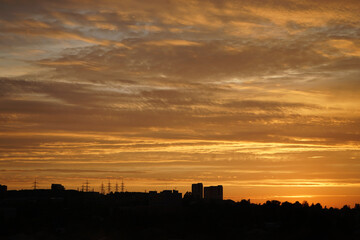 Wall Mural - golden sunset over the city. silhouettes of buildings and trees on the horizon against the backgroun