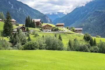 Idyllic summer landscape in the Alps