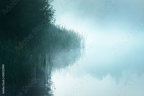 Fotomural Picturesque scenery of the forest lake in a thick white fog