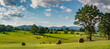 Hay bales in pasture on horse farm in shadow of the Blue Ridge Mountains in central Virginia near Charlottesville.